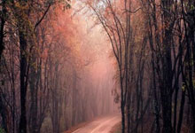 有“电”有“竞”专栏｜拳头的格斗游戏真的有未来吗？.