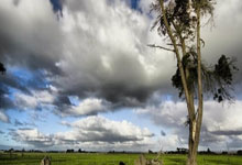 欧陆娱乐官方网站：15连胜！领跑21分！欧洲第一踢疯了.