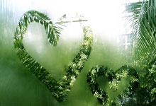 联赛基本无缘，欧冠惨遭淘汰，杯赛耻辱出局，神奇药厂魔力不再！.