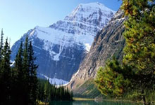 联赛基本无缘,欧冠惨遭淘汰,杯赛耻辱出局,神奇药厂魔力不再!.