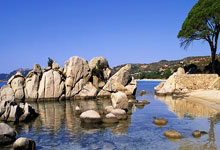 欧陆娱乐官方网站：加拉：姆巴佩数据是超越了齐达内，但他距离齐祖还差2欧冠+1金球.